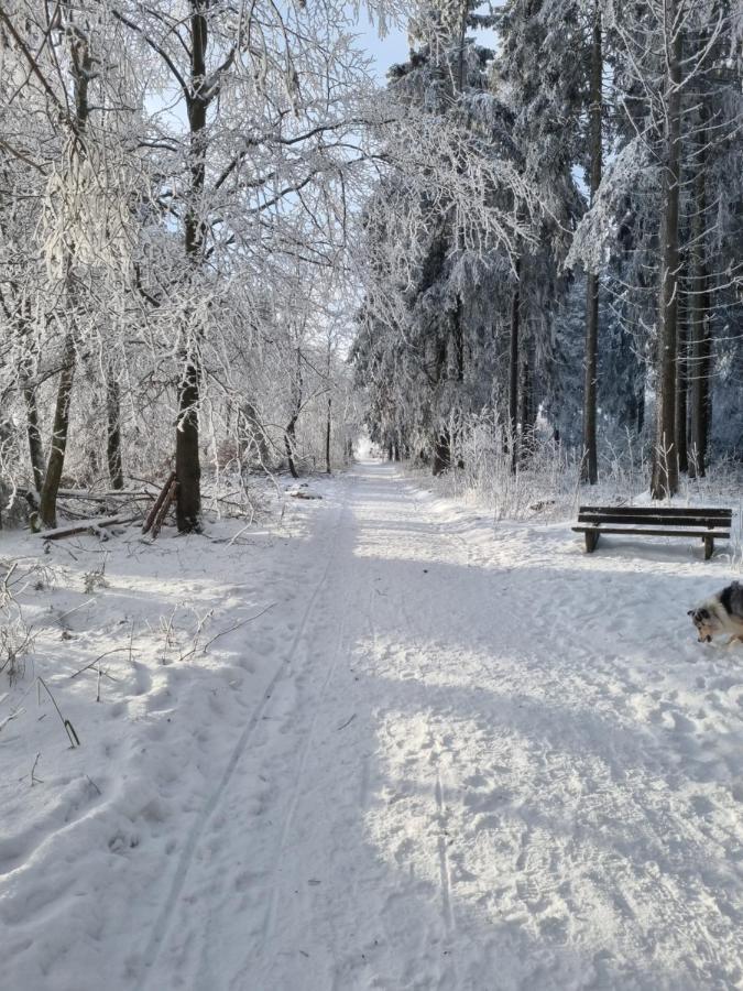 Ferienwohnung Schanzenblick Винтерберг Экстерьер фото